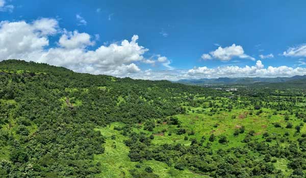 Godrej Plots Panipat